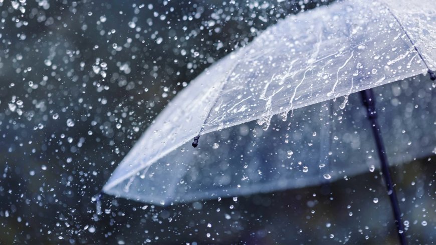 کەشناسی: لە زۆربەی ناوچەکان باران ده‌بارێت و خێرایی با چالاك ده‌بێت